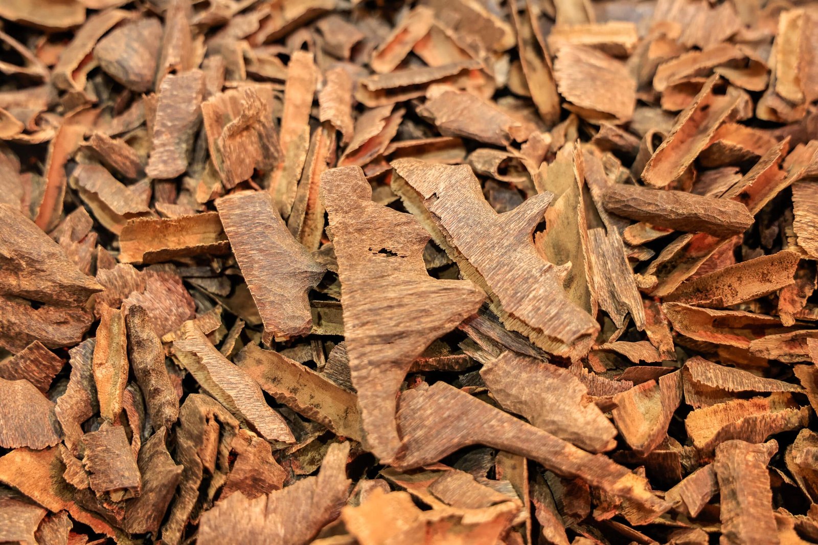 Wild Oud & Chips
